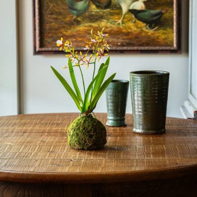 Downloaded from Shopify for use with Vendor ID (199) and Product ID (10657527300390). Downloaded from Shopify for use with Vendor ID (199) and Product ID (10657527300390).