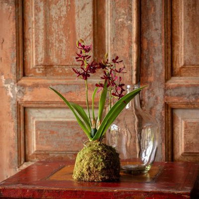 Downloaded from Shopify for use with Vendor ID (199) and Product ID (10657535983910). Downloaded from Shopify for use with Vendor ID (199) and Product ID (10657535983910).