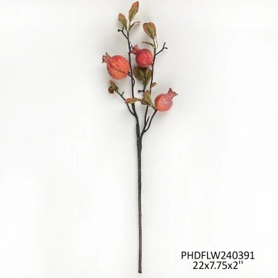 Burnished Pomegranate Branch