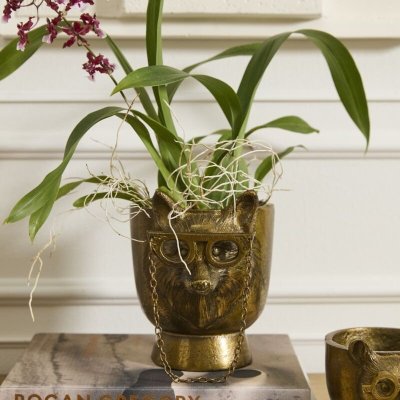Louie Pot
