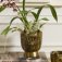 Downloaded from Shopify for use with Vendor ID (199) and Product ID (10665871704358).