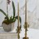 Downloaded from Shopify for use with Vendor ID (199) and Product ID (10669475037478).
