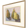 Downloaded from Shopify for use with Vendor ID (199) and Product ID (10701180567846).