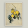 Downloaded from Shopify for use with Vendor ID (199) and Product ID (10708914667814).