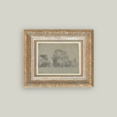 Grove of Trees Framed Print
