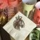 Downloaded from Shopify for use with Vendor ID (721) and Product ID (10207632392512).