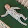Downloaded from Shopify for use with Vendor ID (32) and Product ID (9282713026691).