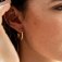 Downloaded from Shopify for use with Vendor ID (369) and Product ID (10060841910519).