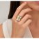 Downloaded from Shopify for use with Vendor ID (75) and Product ID (8378614612034).