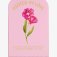 Downloaded from Shopify for use with Vendor ID (75) and Product ID (8378649903170).