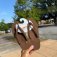 Downloaded from Shopify for use with Vendor ID (1528) and Product ID (8783923642503).