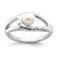 Downloaded from Shopify for use with Vendor ID (1323) and Product ID (10448834855219).