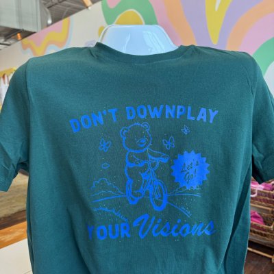 Don’t Downplay Your Visions Top