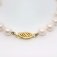 Downloaded from Shopify for use with Vendor ID (1323) and Product ID (9874478268723).