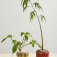 Downloaded from Shopify for use with Vendor ID (199) and Product ID (10744042520870).