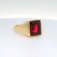Downloaded from Shopify for use with Vendor ID (1323) and Product ID (15431121535283).
