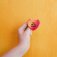 Downloaded from Shopify for use with Vendor ID (26) and Product ID (15417145065750).