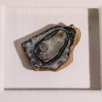 Shuck It | Savannah Asmus