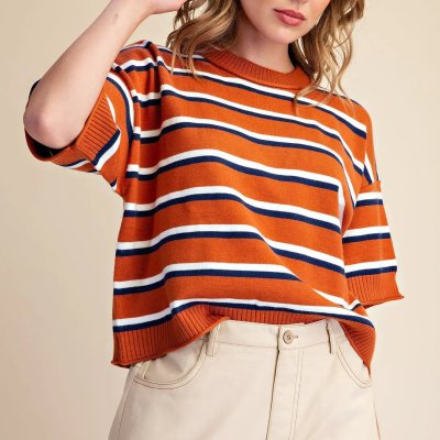 Crew Neck Stripe Sweater in Burnt Orange