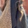 Downloaded from Shopify for use with Vendor ID (171) and Product ID (9104826892459).